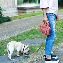 Load image into Gallery viewer, &#39;Posh Walk&#39; Purse Dog Leash, Accessory Holder and Waste Bag Dispenser
