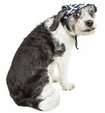 Cargar imagen en el visor de la galería, &#39;Bone Cappa&#39; Graffiti Sculptured Uv Protectant Adjustable Fashion Dog Hat Cap
