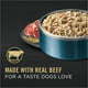 Cargar imagen en el visor de la galería, Purina Pro Plan Chunks in Gravy Wet Dog Food for Adult Dogs Beef Rice, 13oz Cans (12Pack)
