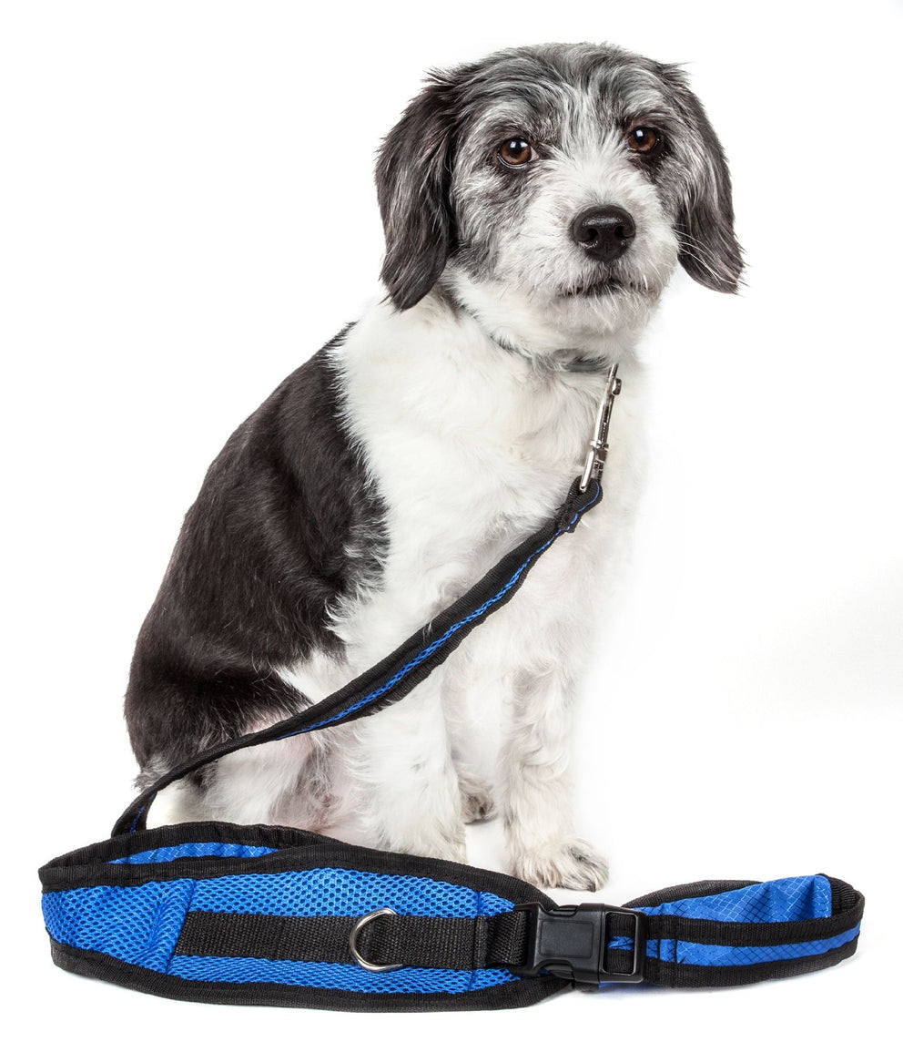 Hands Free And Convertible 2-In-1 Training Dog Leash And Pet Belt With Pouch