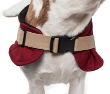Load image into Gallery viewer, Original Sherpa-Bark Designer Fashion-Forward Dog Coat
