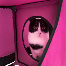 Lade das Bild in den Galerie-Viewer, Kitty-Play Obstacle Travel Zusammenklappbares, weiches, faltbares Haustier-Katzenhaus
