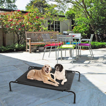 Load image into Gallery viewer, Elevated Pet Bed Dogs Cot Dogs Cats Cool Bed L Size
