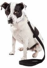 Load image into Gallery viewer, &#39;Aero Mesh&#39; Dual Sided Comfortable And Breathable Adjustable Mesh Dog Leash
