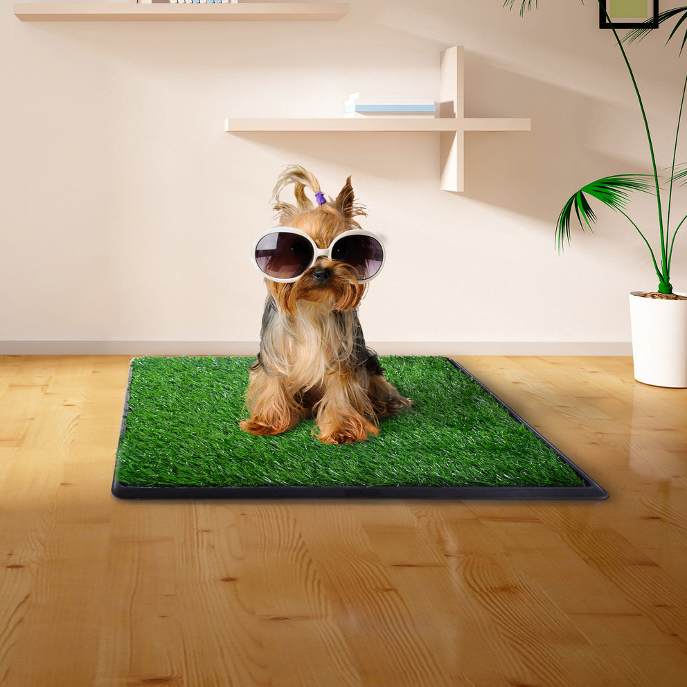 Tapis d'herbe artificielle pour chien, entraînement à la propreté à l'intérieur, tapis de pipi pour animal de compagnie