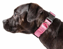 Load image into Gallery viewer, &#39;Aero Mesh&#39; 360 Degree Dual Sided Comfortable And Breathable Adjustable Mesh Dog Collar
