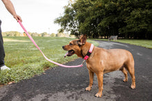 Load image into Gallery viewer, &#39;Aero Mesh&#39; 2-In-1 Dual Sided Comfortable And Breathable Adjustable Mesh Dog Leash-Collar
