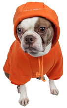 Cargar imagen en el visor de la galería, Fashion Plush Cotton Pet Hoodie Hooded Sweater
