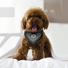 Load image into Gallery viewer, Adjustable Bandana Leather Pet Collar Triangle Scarf
