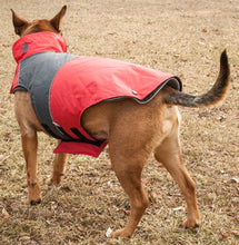 Load image into Gallery viewer, Lightening-Shield Waterproof 2-in-1 Convertible Dog Jacket w/ Blackshark technology
