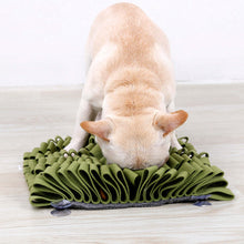 Load image into Gallery viewer, Interactive Anti-Skid Suction Pet Snuffle Mat
