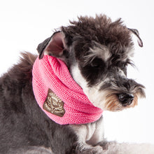 Carica l&#39;immagine nel visualizzatore di Gallery, Heavy Knitted Winter Dog Scarf
