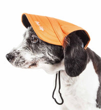 Load image into Gallery viewer, &#39;Cap-Tivating&#39; Uv Protectant Adjustable Fashion Dog Hat Cap
