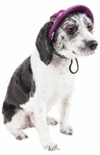 Lade das Bild in den Galerie-Viewer, UV-Schutz, verstellbare Mode-Hundehut-Kappe mit Mesh-Krempe
