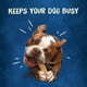 Cargar imagen en el visor de la galería, Purina Busy Rawhide Chewnola Oats &amp; Brown Rice Treat for Dogs, 20 oz Pouch

