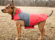 Carica l&#39;immagine nel visualizzatore di Gallery, Lightening-Shield Waterproof 2-in-1 Convertible Dog Jacket w/ Blackshark technology
