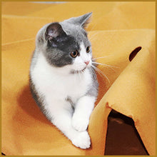 Cargar imagen en el visor de la galería, Pet Tunnel Mat Cat Waterproof Play Mat Hide and Seek Pad Interactive Mat Indoor Toy
