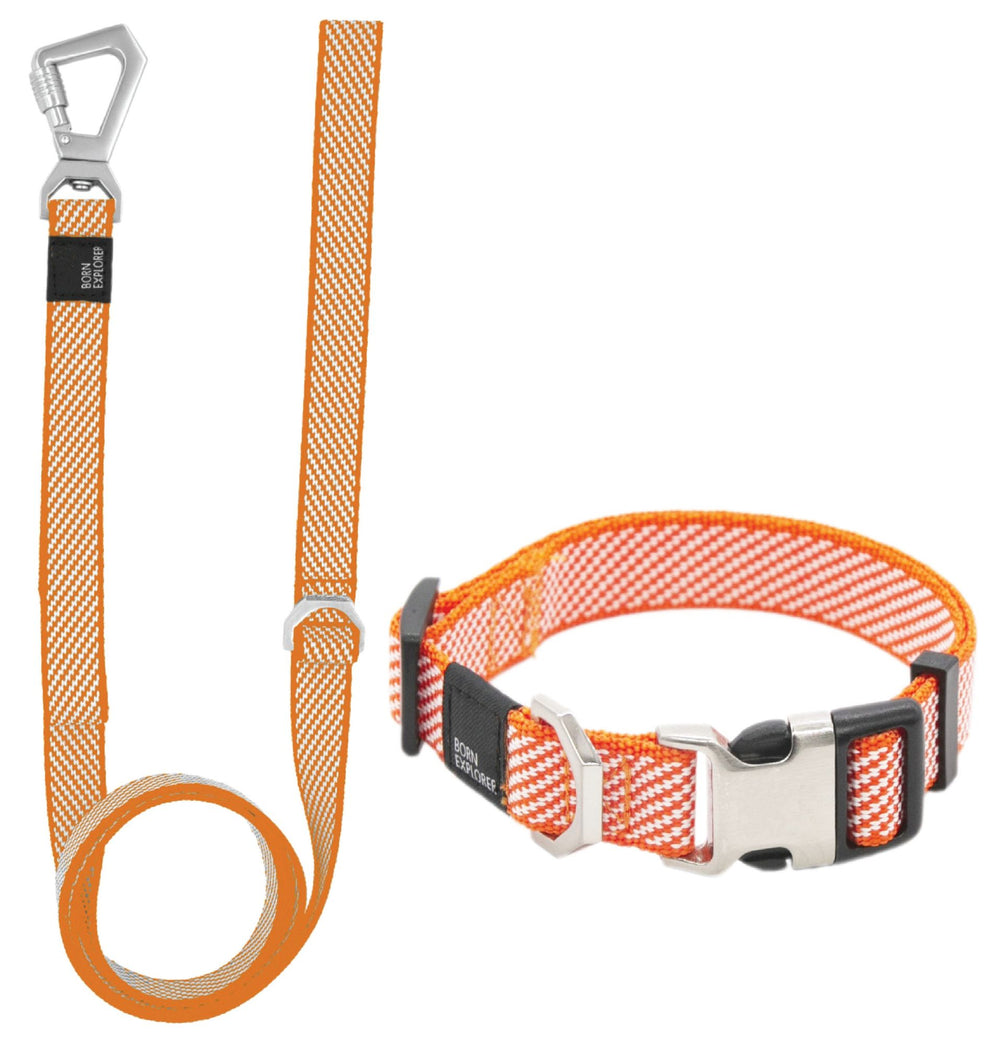 'Escapade' Outdoor Series 2-in-1 Convertible Dog Leash and Collar