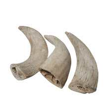 Charger l&#39;image dans la galerie, Water Buffalo Horn Core-Horn Inner Part-100% Natural;  High Protein;  Long-Lasting;  Grain-Free;  Gluten-Free;  Low-Fat;  Dog Dental Treats &amp; Chews-2 COUNT-10 oz
