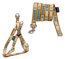 Cargar imagen en el visor de la galería, Designer Embroidered Fashion Pet Dog Leash And Harness Combination

