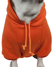 Cargar imagen en el visor de la galería, Fashion Plush Cotton Pet Hoodie Hooded Sweater
