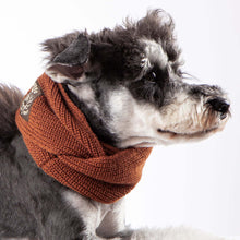 Cargar imagen en el visor de la galería, Heavy Knitted Winter Dog Scarf
