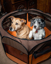 Carica l&#39;immagine nel visualizzatore di Gallery, All-Terrain&#39; Lightweight Easy Folding Wire-Framed Collapsible Travel Pet Playpen

