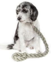 Load image into Gallery viewer, Industrial-Strength Shock Absorption Woven Dog Leash
