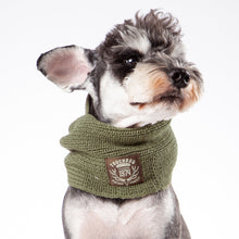 Charger l&#39;image dans la galerie, Écharpe de chien d&#39;hiver en tricot épais
