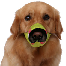 Load image into Gallery viewer, Fumigation Adjustable Designer Dog Muzzle
