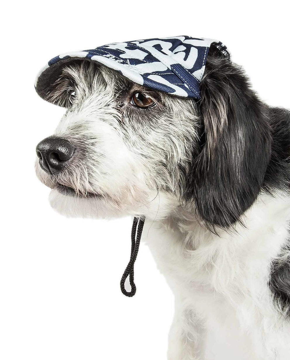 'Bone Cappa' Graffiti Sculptured Uv Protectant Adjustable Fashion Dog Hat Cap