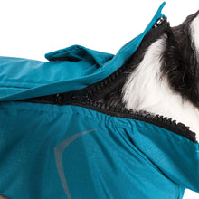 Carica l&#39;immagine nel visualizzatore di Gallery, Blizzard Full-Bodied Adjustable and 3M Reflective Dog Jacket
