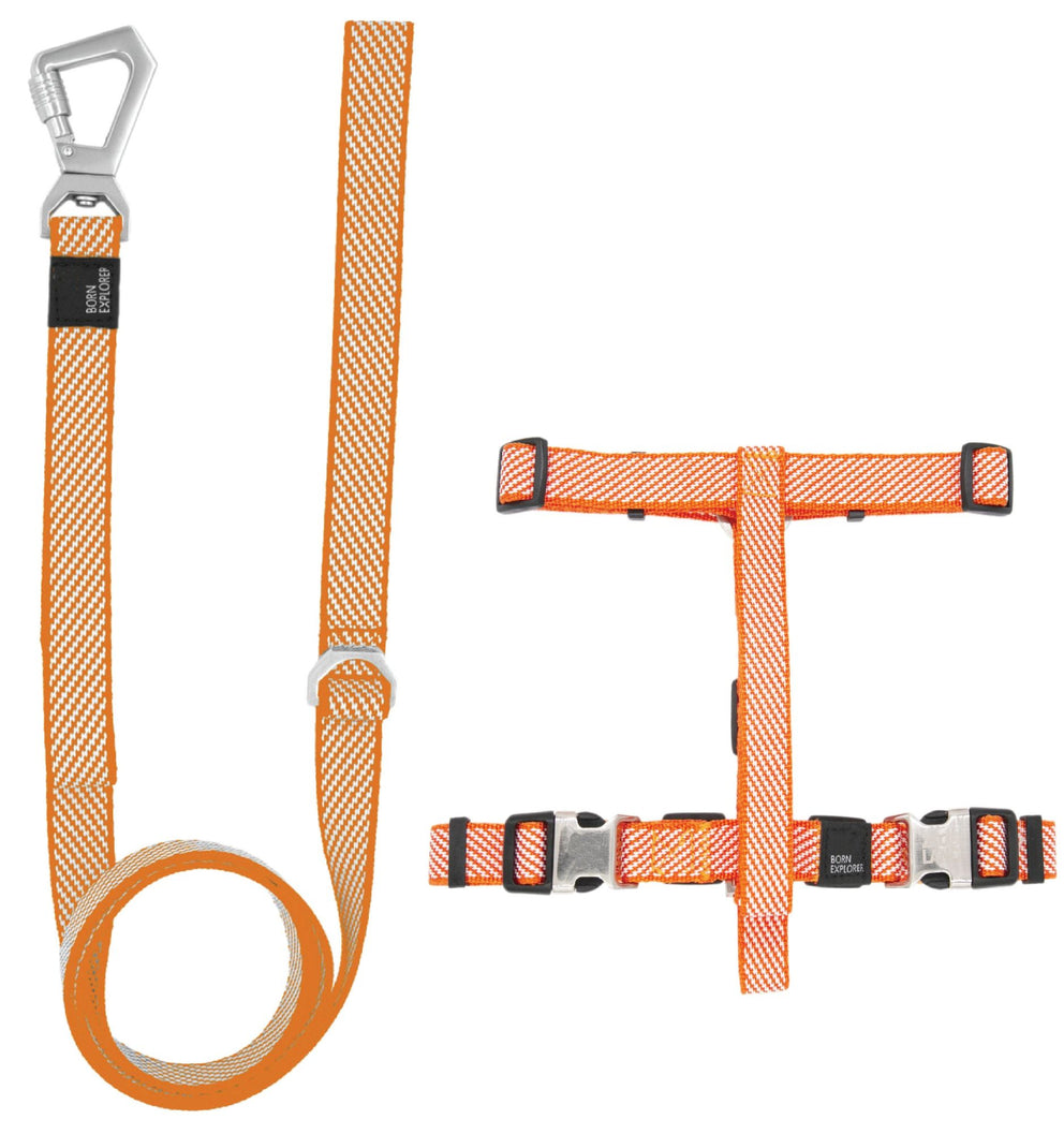 'Escapade' Outdoor Series 2-in-1 Convertible Dog Leash and Harness