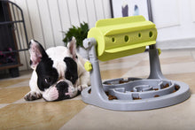 Load image into Gallery viewer, &#39;Roto Paw&#39; IQ Training Interactive Rotating Slow Dog Feeder
