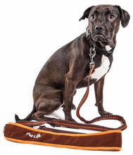 Carica l&#39;immagine nel visualizzatore di Gallery, &#39;Free-Fetcher&#39; Hands Free Over-The-Shoulder Shock Absorbent Dog Leash
