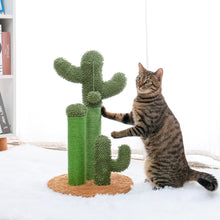 Lade das Bild in den Galerie-Viewer, Niedliches Kaktusbaum-Haustier-Katzenspielzeug mit Kugel-Kratzbaum
