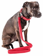 Carica l&#39;immagine nel visualizzatore di Gallery, &#39;Aero Mesh&#39; 2-In-1 Dual Sided Comfortable And Breathable Adjustable Mesh Dog Leash-Collar
