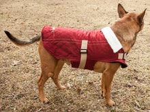 Load image into Gallery viewer, Original Sherpa-Bark Designer Fashion-Forward Dog Coat
