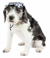 Carica l&#39;immagine nel visualizzatore di Gallery, &#39;Bone Cappa&#39; Graffiti Sculptured Uv Protectant Adjustable Fashion Dog Hat Cap
