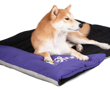 Carica l&#39;immagine nel visualizzatore di Gallery, &#39;Expedition&#39; Sporty Travel Camping Pillow Dog Bed
