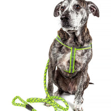 Cargar imagen en el visor de la galería, Reflective Stitched Easy Tension Adjustable 2-in-1 Dog Leash and Harness
