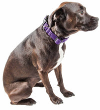 Load image into Gallery viewer, &#39;Aero Mesh&#39; 360 Degree Dual Sided Comfortable And Breathable Adjustable Mesh Dog Collar
