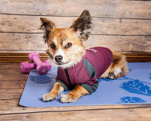 Lade das Bild in den Galerie-Viewer, &#39;Eboneflow&#39; Mittelschweres 4-Wege-Stretch, flexibles und atmungsaktives Yoga-T-Shirt für Hunde
