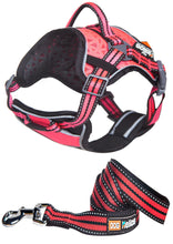 Load image into Gallery viewer, Dog Chest Compression Pet Harness and Leash Combo
