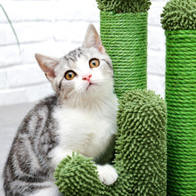 Charger l&#39;image dans la galerie, Jouet mignon de chat d&#39;animal de compagnie d&#39;arbre de cactus avec le poteau de griffoir de boule
