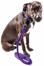 Carica l&#39;immagine nel visualizzatore di Gallery, &#39;Aero Mesh&#39; 2-In-1 Dual Sided Comfortable And Breathable Adjustable Mesh Dog Leash-Collar
