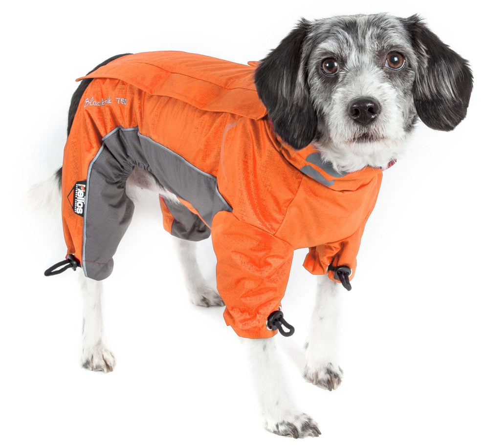 Veste pour chien ajustable et réfléchissante 3M Blizzard