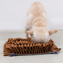 Lade das Bild in den Galerie-Viewer, Interaktive Anti-Rutsch-Saugmatte für Haustiere

