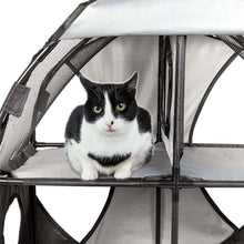 Lade das Bild in den Galerie-Viewer, Kitty-Play Obstacle Travel Zusammenklappbares, weiches, faltbares Haustier-Katzenhaus
