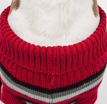 Load image into Gallery viewer, Polo-Casual Lounge Cable Knit Designer Turtle Neck Dog Sweater
